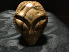 alien schedel landschap jaspis