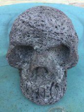 lava schedel