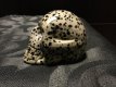 schedel dalmatier jaspis