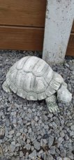 schildpad in beton